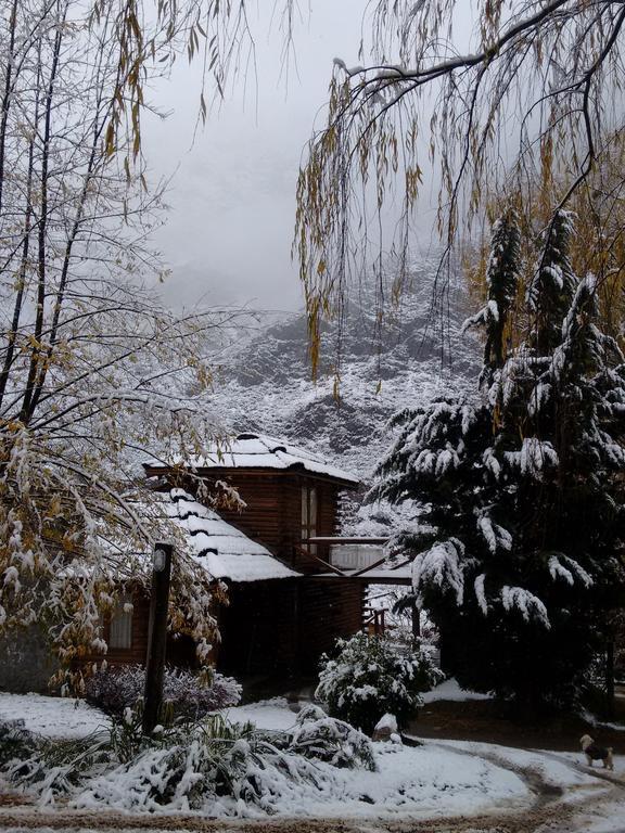 Mendoza Sol Y Nieve Villa Potrerillos Luaran gambar